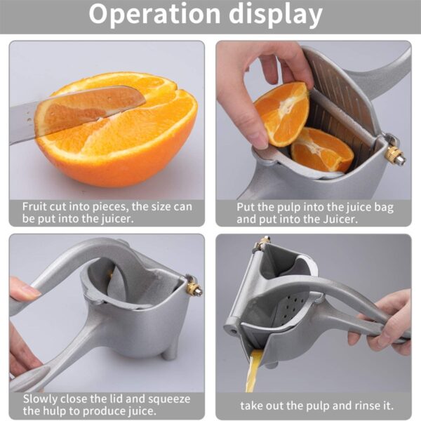 Efficient Citrus Juicer